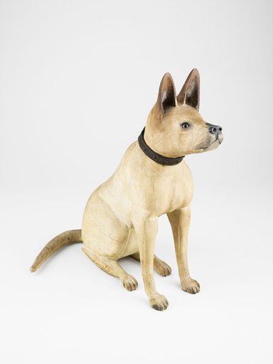 Bull Terrier