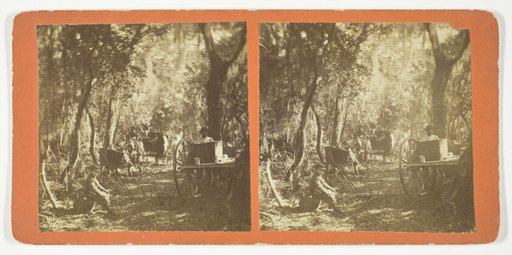 Moss Avenue, Fort George, Florida