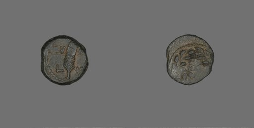 Coin Depicting a Palm Branch