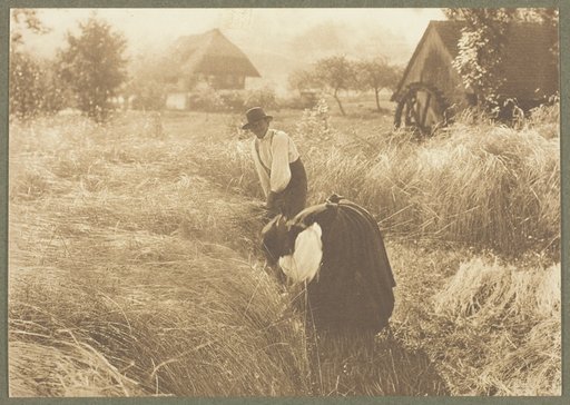 Early Morn, from the portfolio "American Pictorial Photography, Series I" (1899); edition 146/150