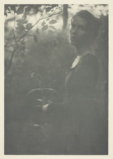 Edge of Woods, No. 10 from the portfolio "American Pictorial Photography, Series II” (1901); edition 34/150