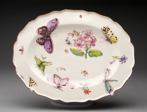 Dish