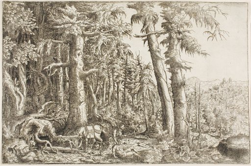 The Good Samaritan