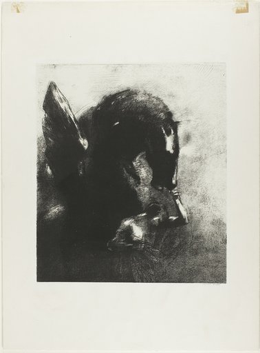 Captive Pegasus
