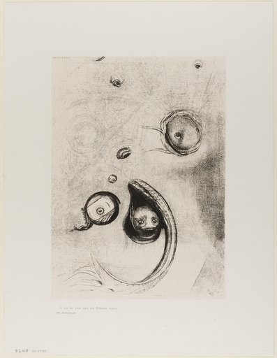 Et que des yeux sans tete flottaient comme des mollusques, plate XIII of Tentation de St. Antoine