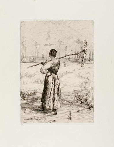 The Return from the Field
