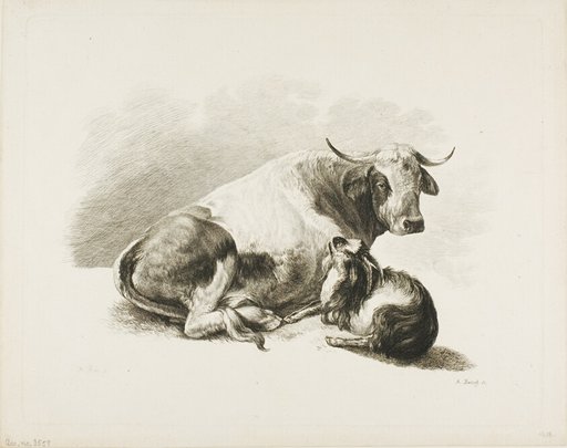 Animal Piece