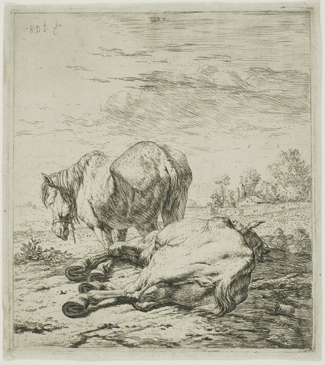 Two Horses
