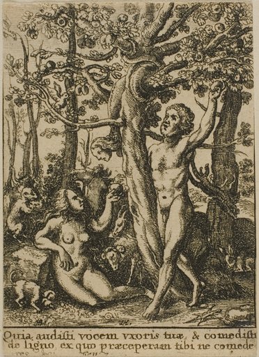 The Garden of Eden