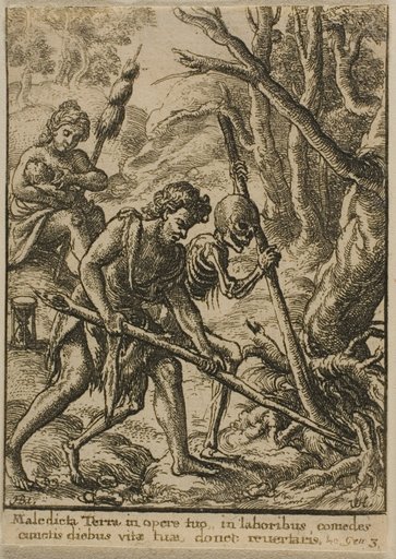 Adam Ploughing