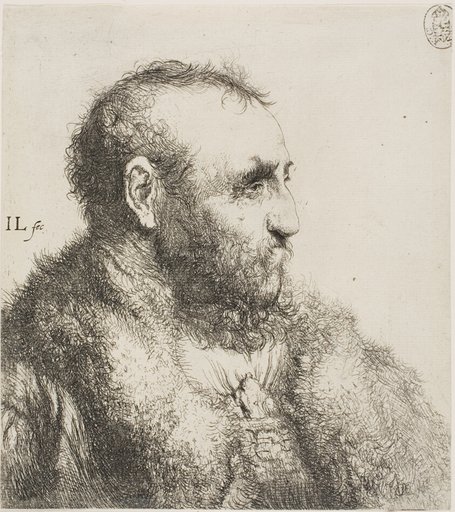 Bust of an Old Man