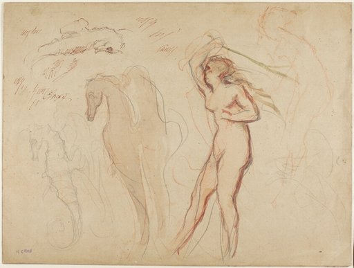 Sheet of Studies