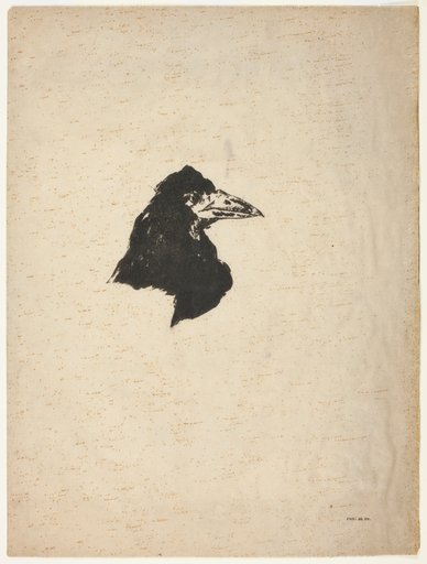 Head of a Raven in Profile, from The Raven (Le Corbeau)