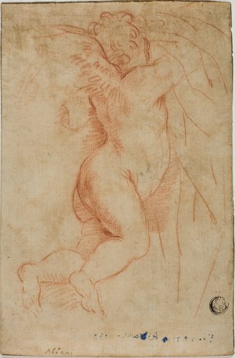 Putto Lifting Curtain (recto); Infant St. John (verso)