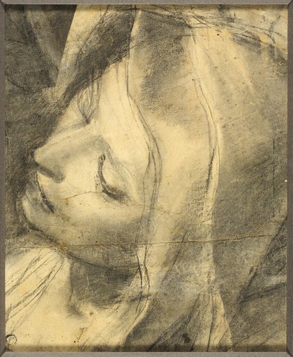 Head of the Swooning Virgin: Study for the Deposition (recot) Base of Column (verso)