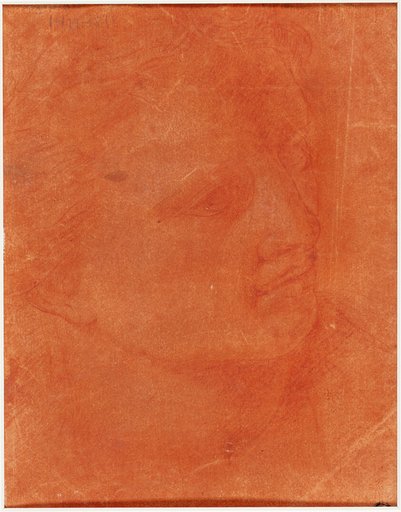 Head in Three-Quarter Profile (recto); Standing Young Man Pointing Left and Sketches of Feet, Arm (verso)