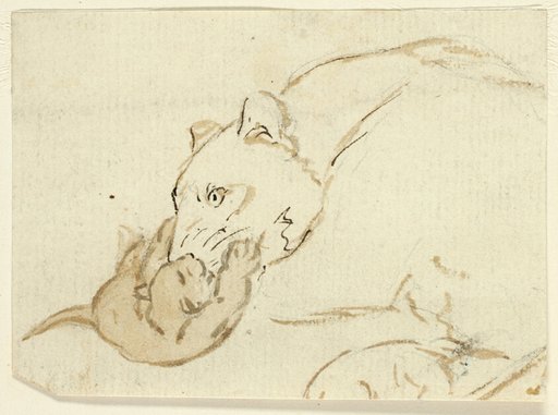 Five Sketches of Lions: Lioness with Cub