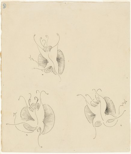 Three Butterflies