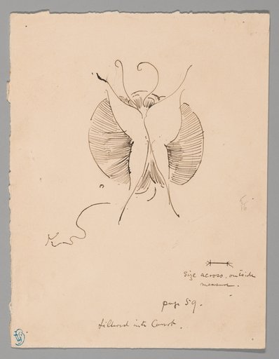 Butterfly (recto); Fragment of Butterfly (verso)
