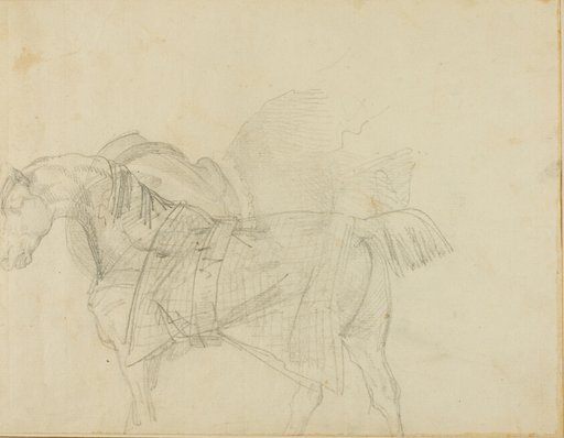 Horse Wearing a Blanket