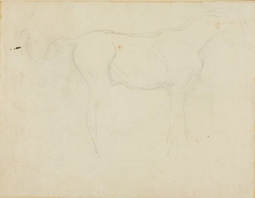 Sketch of a Horse Facing Right and a Caricature in Profile