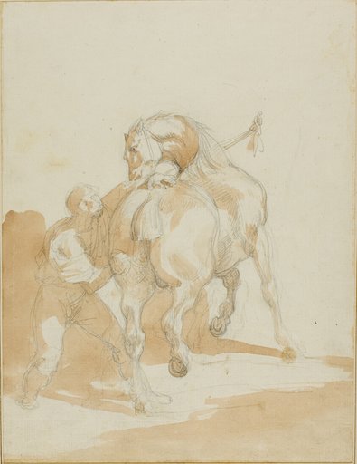 Stableboy Grooming a Horse