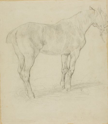 Standing Horse