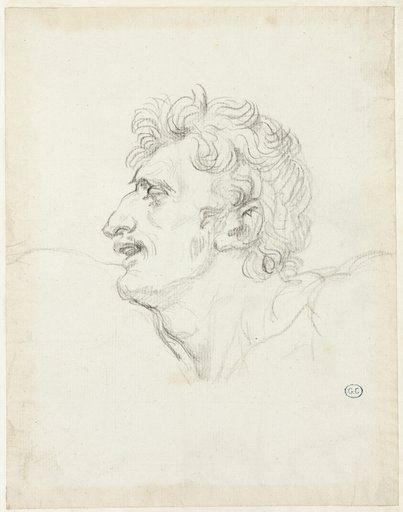 Head of a Man, Left Profile