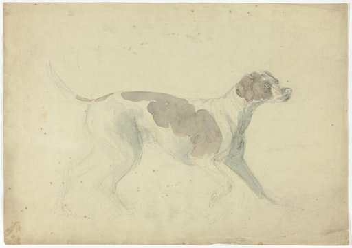 Fox Hound (recto); Sketches of Horse and Rider (verso)