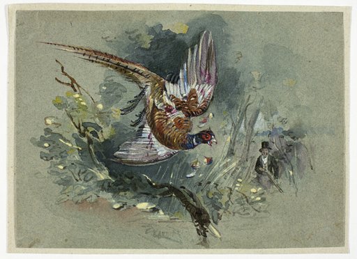 Pheasant and Hunter