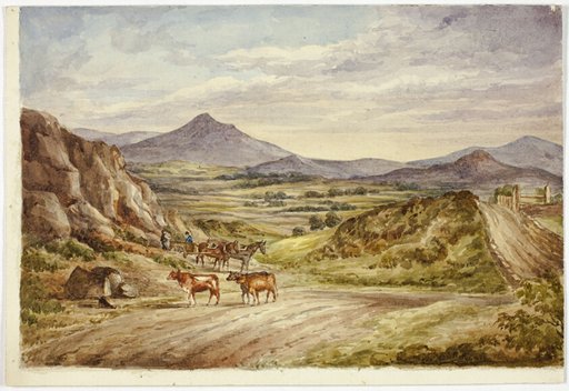 Wicklow Hills