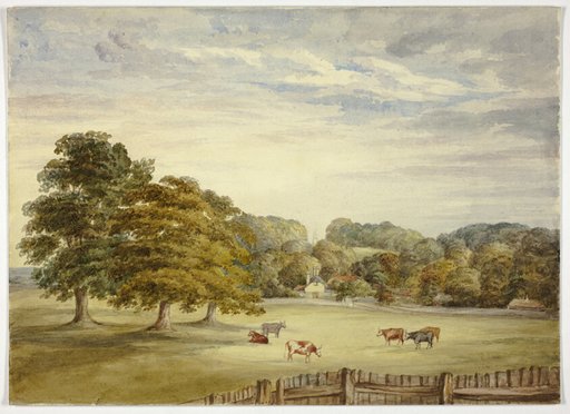Six Cows Grazing before Country House