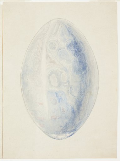 Overview of Oval Shell Stone