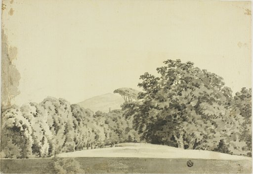 Wooded Landscape