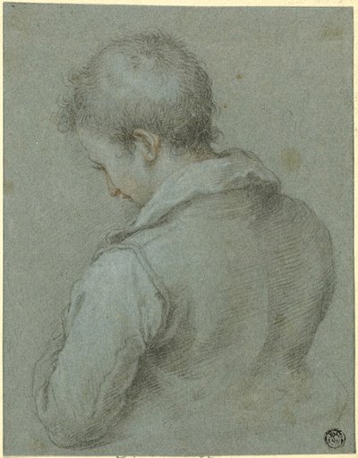 Head and Shoulders of a Man seen from the Back