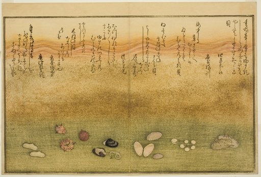 Sudare-gai, hana-gai, sakura-gai, mumeno-gai, nadeshiko-gai, and kinuta-gai, from the illustrated book "Gifts from the Ebb Tide (Shiohi no tsuto)"
