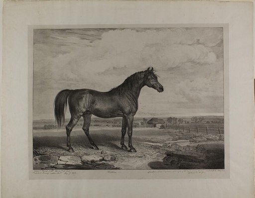 Walton