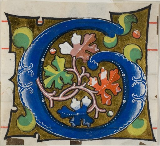 Decorated Initial "G" with Flowers from a Choir Book