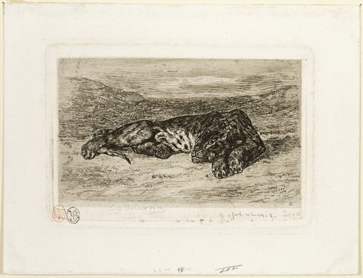 Tiger Resting in the Desert