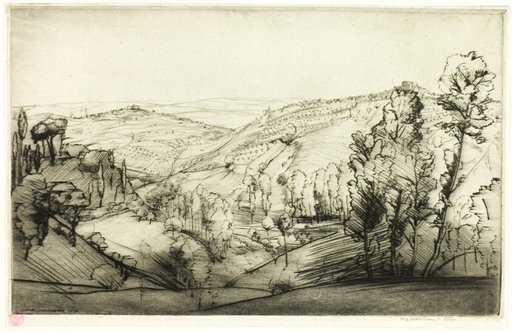 Fields of San Gimignano