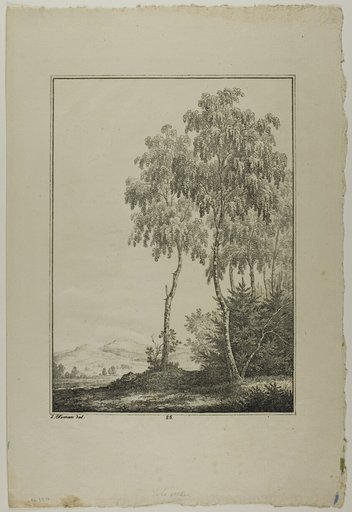 Plate 25 from Blatt Baum und Landschafts Studien