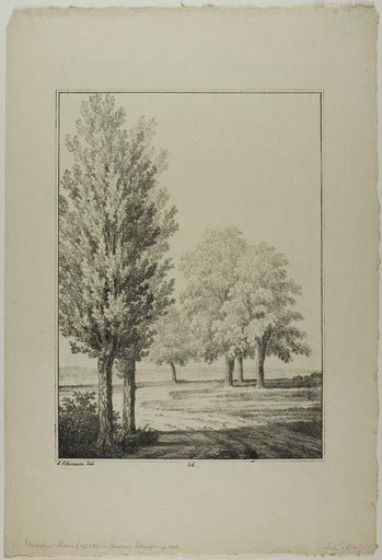 Plate 26 from Blatt Baum und Landschafts Studien