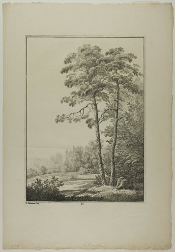 Plate 28 from Blatt Baum und Landschafts Studien