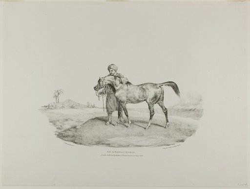 An Arabian Horse, plate 8 from Various Subjects Drawn from Life and on Stone (The English Suite)