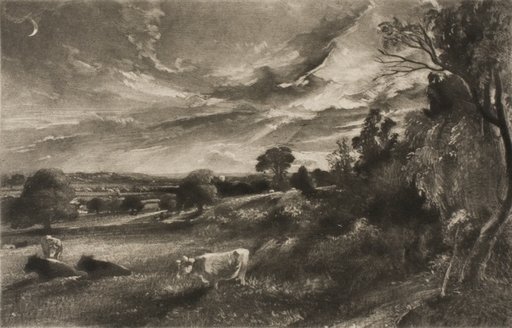 Summer Evening