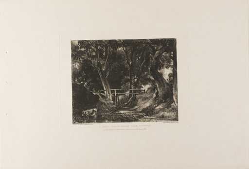 A Dell, Helmingham Park, Suffolk