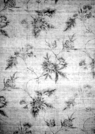 Panel