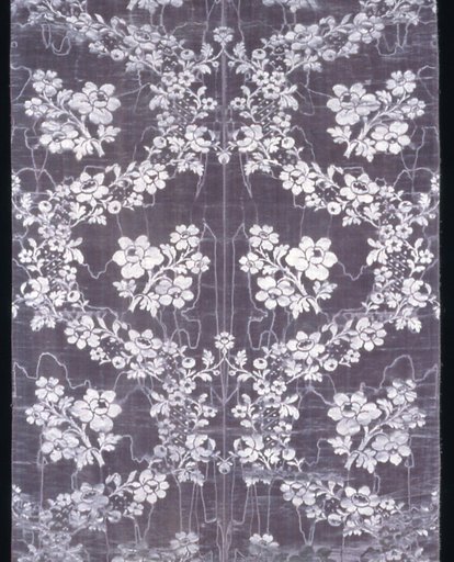 Panel
