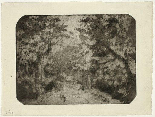 Wooded Lane at Pontoise