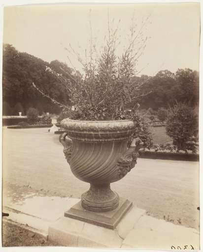 Versailles, Vase par Ballin
